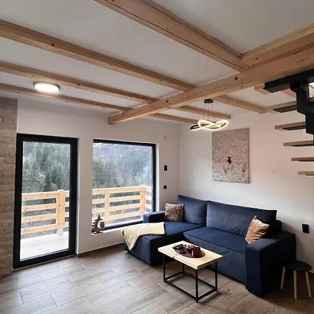 Holiday home Planinska Koliba Dada Popovici