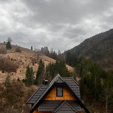 Planinska Koliba Dada Holiday home Popovici