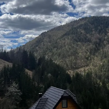 Planinska Koliba Dada Holiday home *